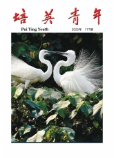 培英青年第177期_Cover
